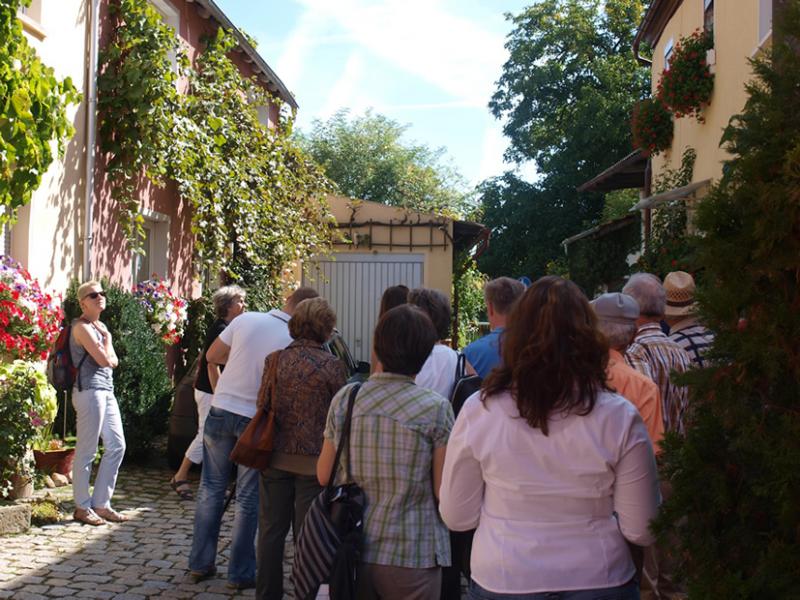 copyright@LAG Wein, Wald, Wasser e.V.