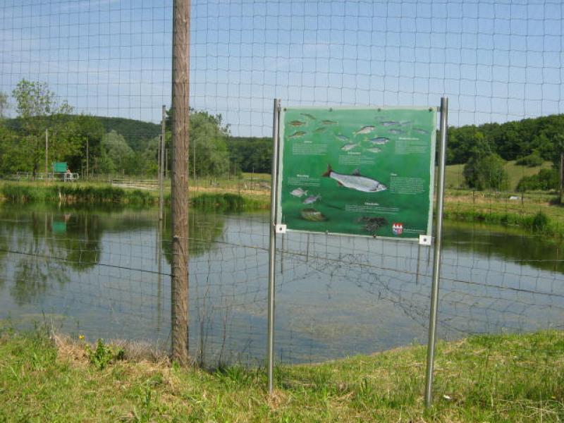 copyright@LAG Wein, Wald, Wasser e.V.