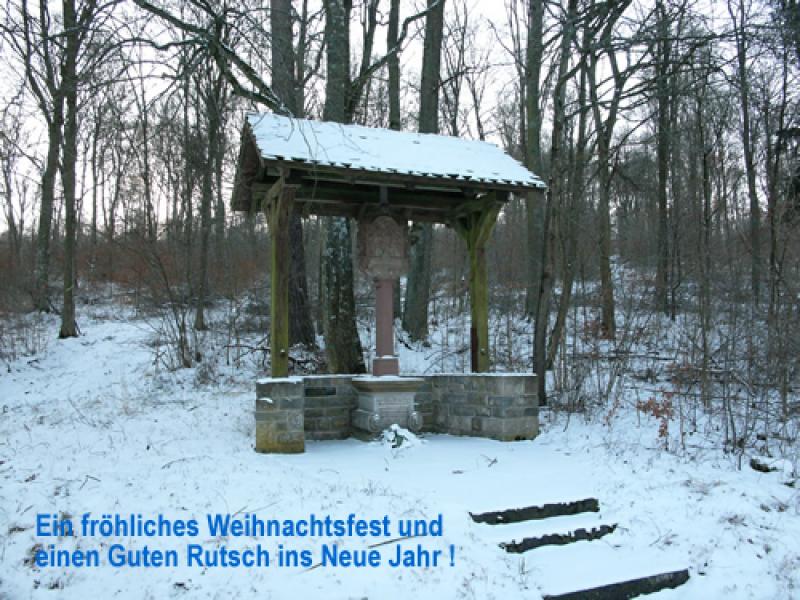 copyright@LAG Wein, Wald, Wasser e.V.