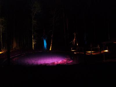copyright@LAG Wein, Wald, Wasser e.V.